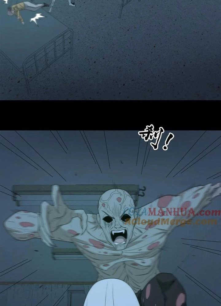 Ngày Tôi Sinh Ra, Bách Quỷ Dạ Hành, Tuyết Thi Hộ Đạo Chapter 249 - Trang 3