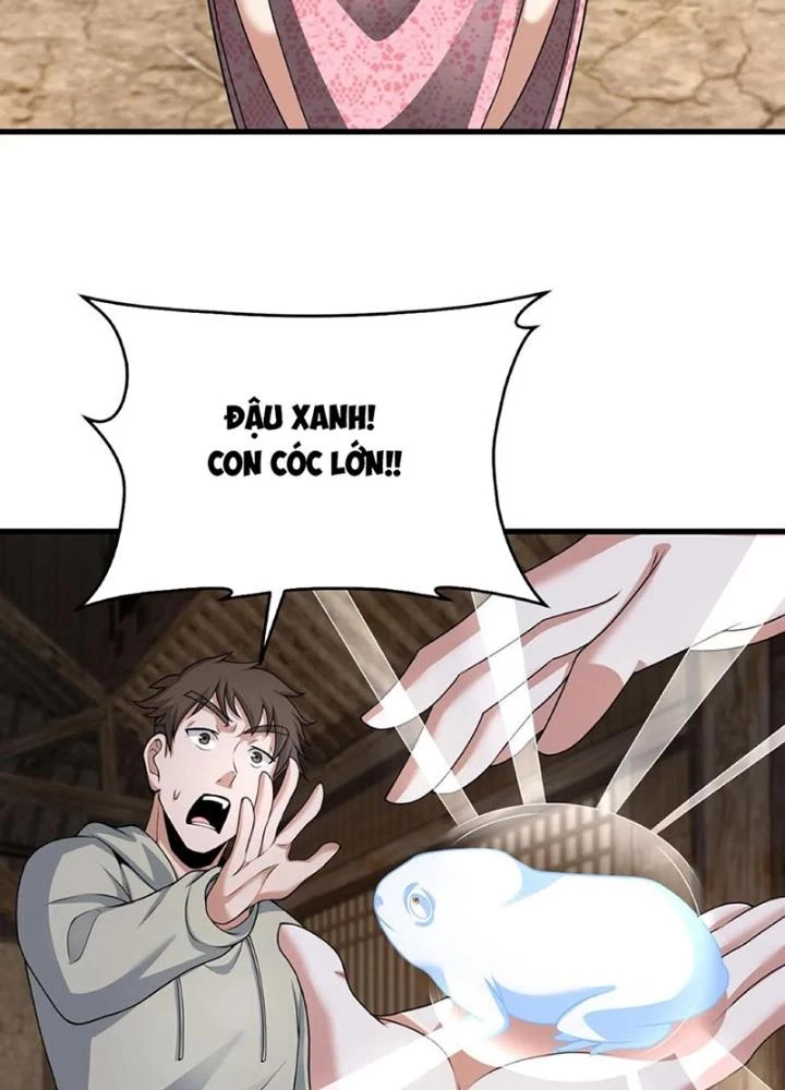 Ngày Tôi Sinh Ra, Bách Quỷ Dạ Hành, Tuyết Thi Hộ Đạo Chapter 251 - Trang 3