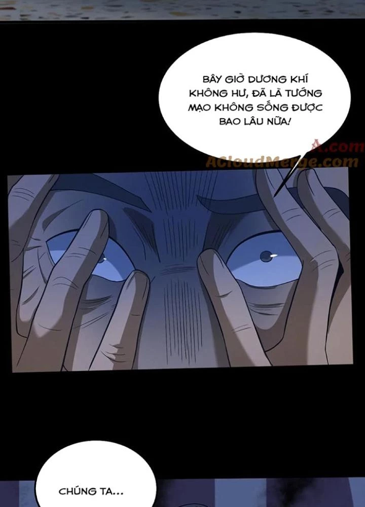Ngày Tôi Sinh Ra, Bách Quỷ Dạ Hành, Tuyết Thi Hộ Đạo Chapter 254 - Trang 3