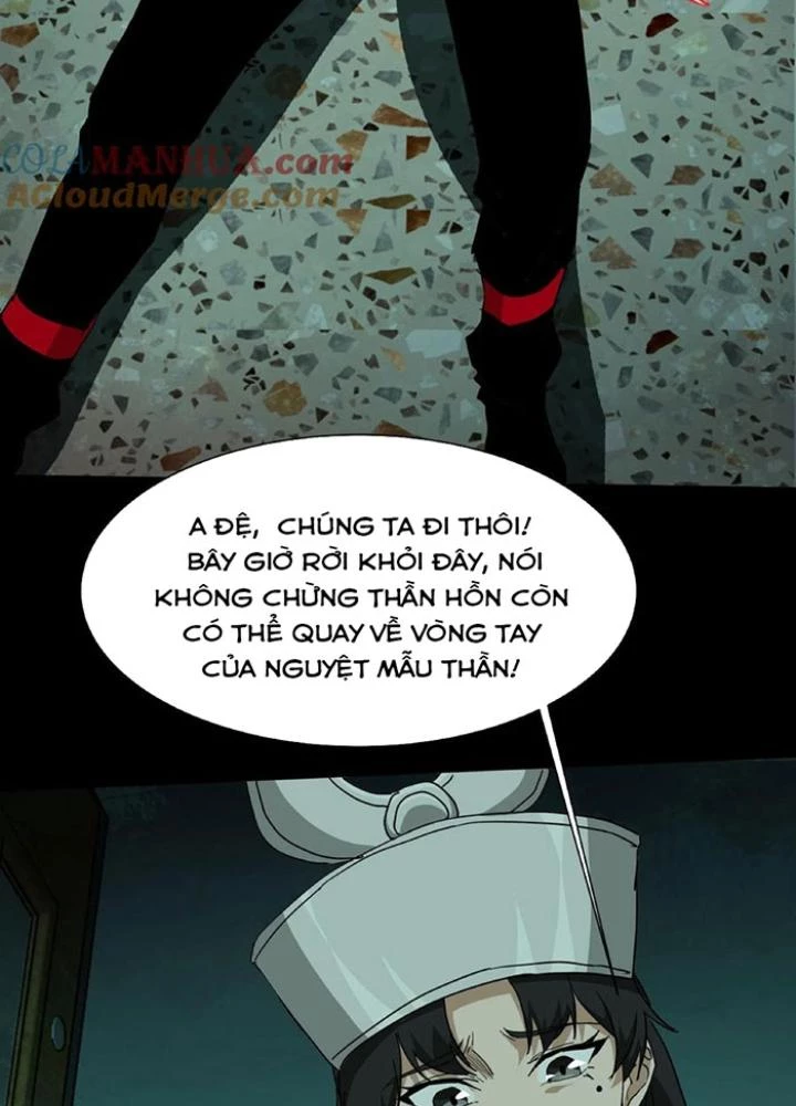 Ngày Tôi Sinh Ra, Bách Quỷ Dạ Hành, Tuyết Thi Hộ Đạo Chapter 255 - Trang 3