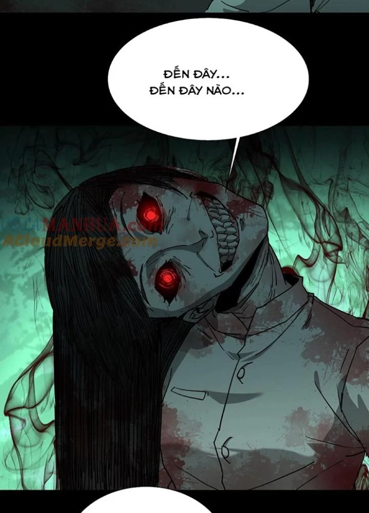 Ngày Tôi Sinh Ra, Bách Quỷ Dạ Hành, Tuyết Thi Hộ Đạo Chapter 256 - Trang 3