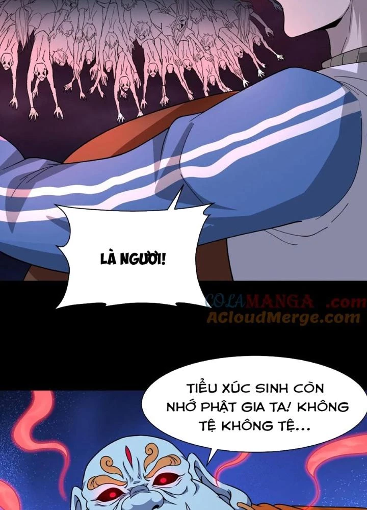 Ngày Tôi Sinh Ra, Bách Quỷ Dạ Hành, Tuyết Thi Hộ Đạo Chapter 269 - Trang 3