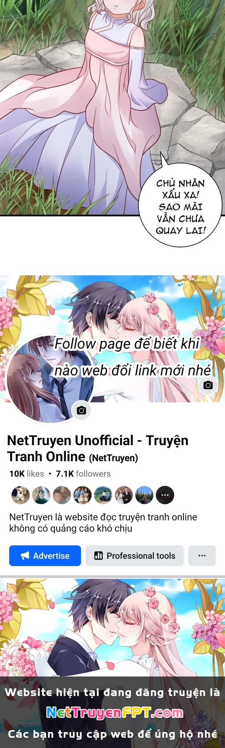 Tu Tiên Phải Dựa Vào Sugar Mommy Chapter 235 - Trang 4