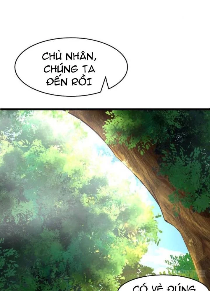 Tu Tiên Phải Dựa Vào Sugar Mommy Chapter 241 - Trang 4