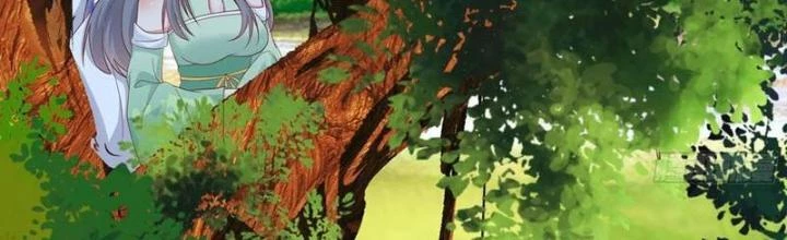 Tu Tiên Phải Dựa Vào Sugar Mommy Chapter 242 - Trang 4