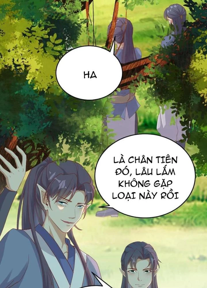 Tu Tiên Phải Dựa Vào Sugar Mommy Chapter 242 - Trang 4
