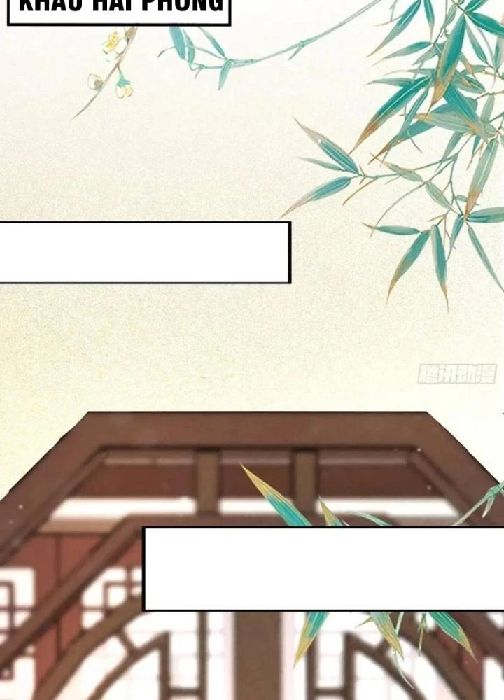 Tu Tiên Phải Dựa Vào Sugar Mommy Chapter 247 - Trang 4