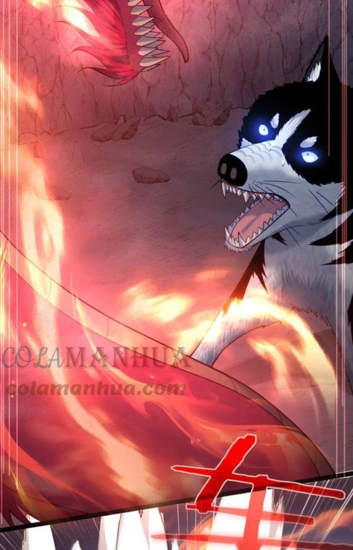 Tiên Giới Đệ Nhất Nội Ứng Chapter 38 - Trang 3