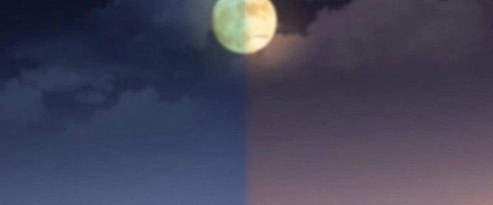 Văn Âm Sư Chapter 220 - Trang 3