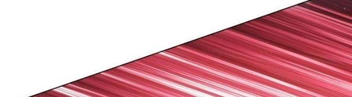 Ta Cày Level Từ Trong Gương Chapter 43 - Trang 4