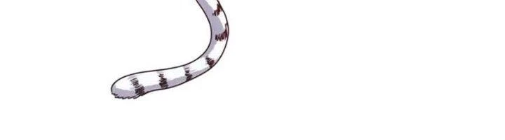 Ta Cày Level Từ Trong Gương Chapter 58 - Trang 4