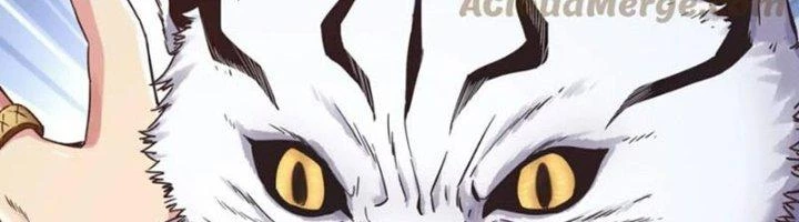 Ta Cày Level Từ Trong Gương Chapter 58 - Trang 4