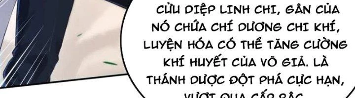 Ta Cày Level Từ Trong Gương Chapter 61 - Trang 4