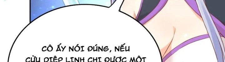 Ta Cày Level Từ Trong Gương Chapter 61 - Trang 4