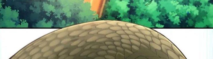 Ta Cày Level Từ Trong Gương Chapter 63 - Trang 4