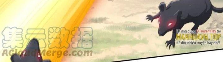 Ta Cày Level Từ Trong Gương Chapter 65 - Trang 4