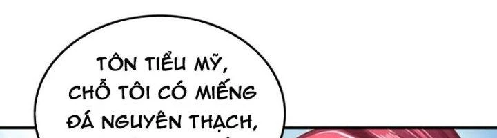 Ta Cày Level Từ Trong Gương Chapter 66 - Trang 4