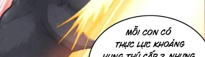 Ta Cày Level Từ Trong Gương Chapter 66 - Trang 4