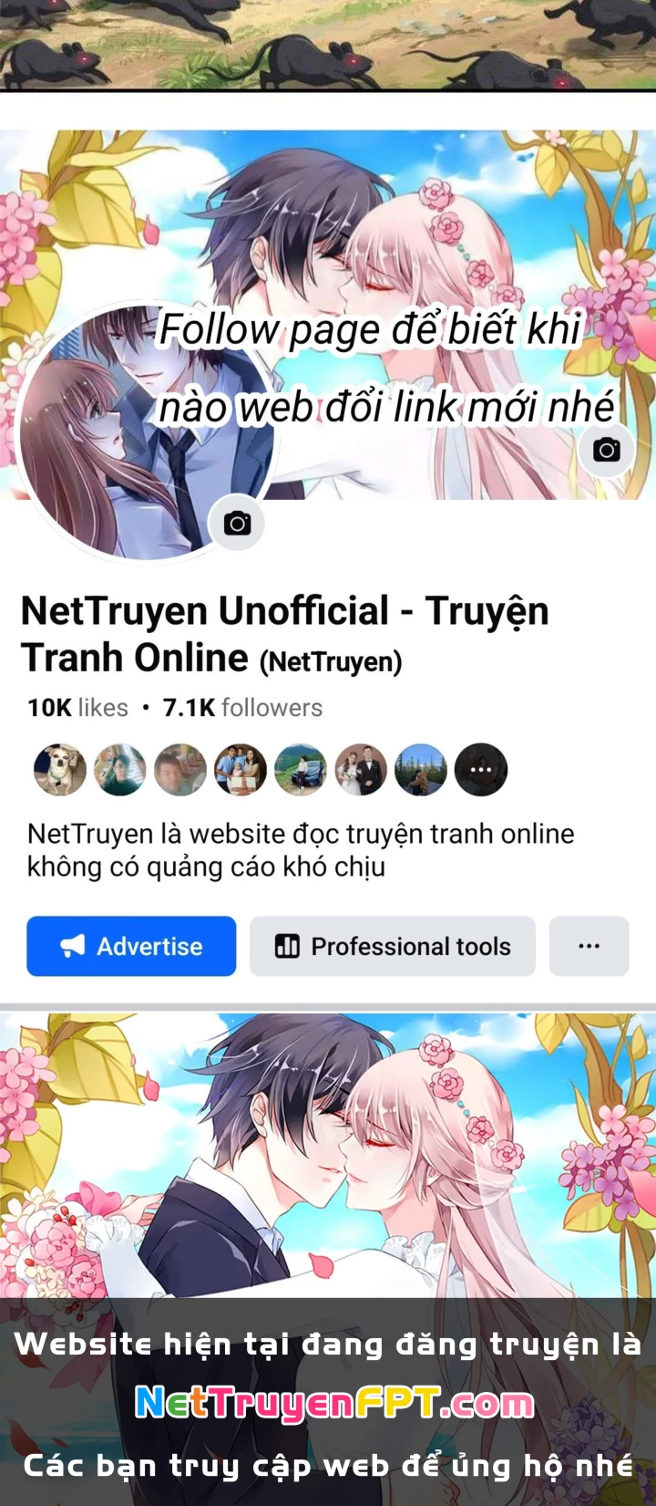 Ta Cày Level Từ Trong Gương Chapter 66 - Trang 4