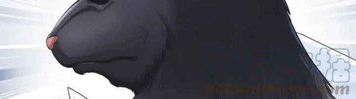 Ta Cày Level Từ Trong Gương Chapter 67 - Trang 4