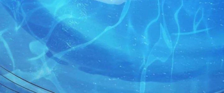 Thần Lan Kỳ Vực Vô Song Châu Chapter 6 - Trang 2