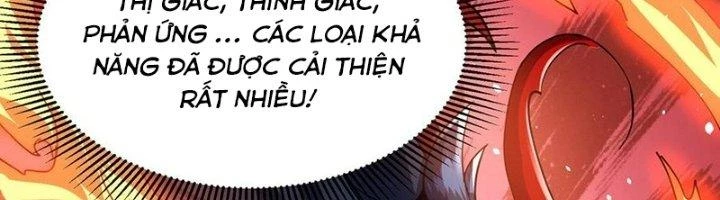 Khắc Kim Đại Ma Vương Chapter 13 - Trang 3