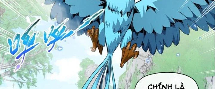 Dù Kiếm Được Nghề Nghiệp Siêu Hiếm Nhưng Lại Bị Toàn Server Đuổi Giết?! Chapter 23 - Trang 3