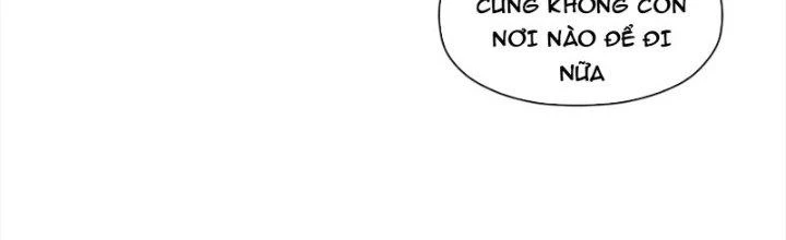 Dù Kiếm Được Nghề Nghiệp Siêu Hiếm Nhưng Lại Bị Toàn Server Đuổi Giết?! Chapter 24 - Trang 3