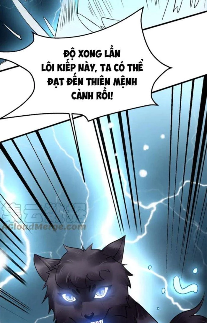 Sư Tổ Của Ta Là Thiên Hạ Đệ Nhất Chapter 40 - Trang 3