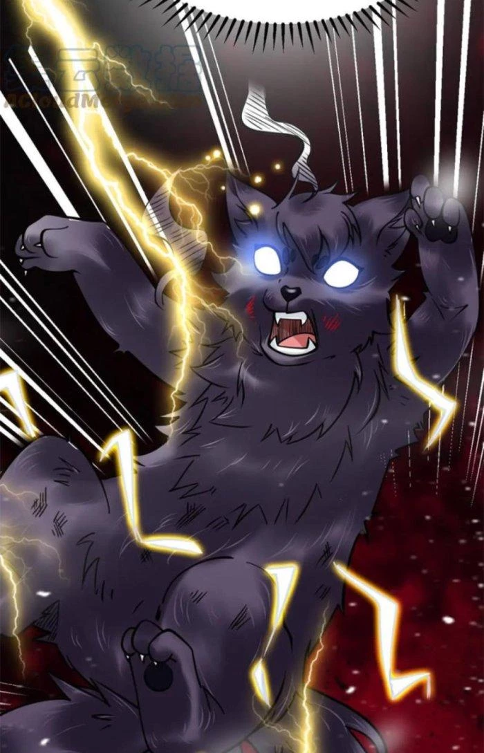 Sư Tổ Của Ta Là Thiên Hạ Đệ Nhất Chapter 41 - Trang 3