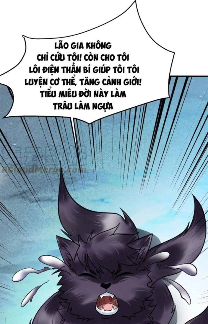 Sư Tổ Của Ta Là Thiên Hạ Đệ Nhất Chapter 41 - Trang 3
