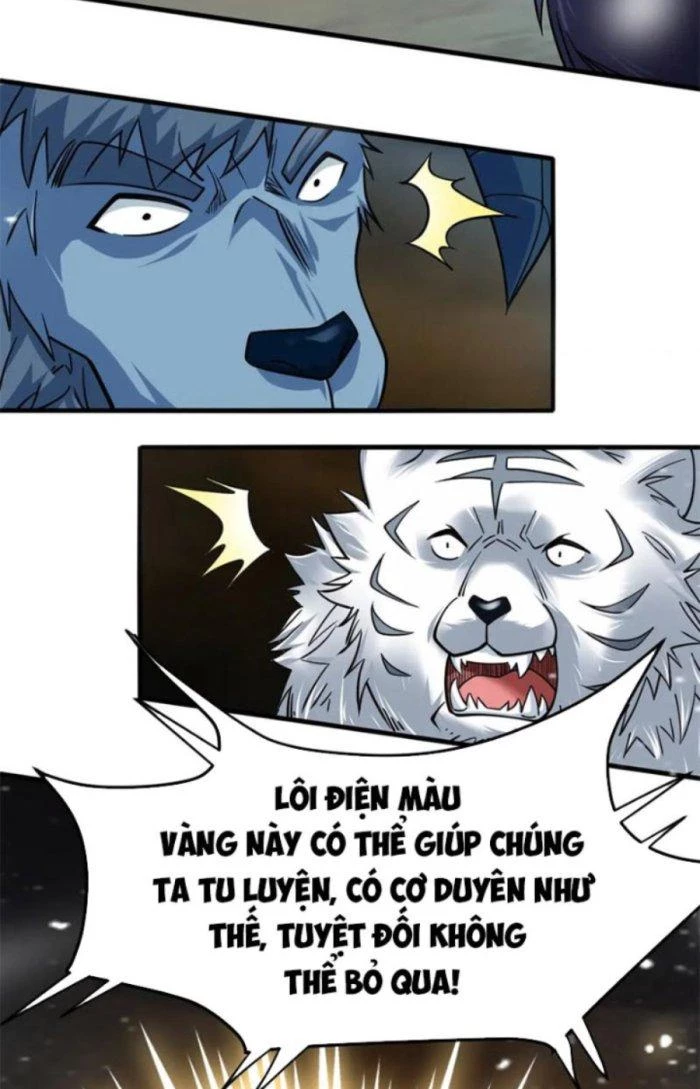 Sư Tổ Của Ta Là Thiên Hạ Đệ Nhất Chapter 41 - Trang 3