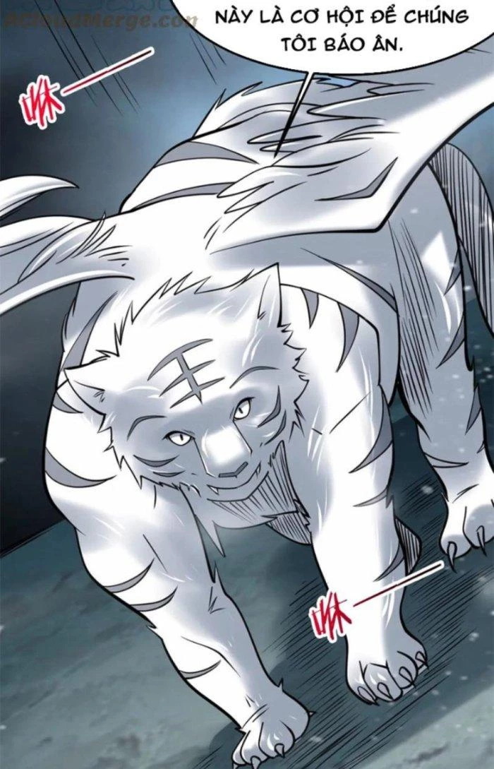 Sư Tổ Của Ta Là Thiên Hạ Đệ Nhất Chapter 41 - Trang 3