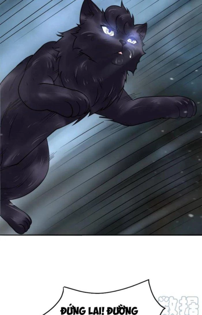 Sư Tổ Của Ta Là Thiên Hạ Đệ Nhất Chapter 49 - Trang 3