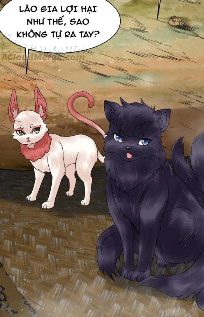 Sư Tổ Của Ta Là Thiên Hạ Đệ Nhất Chapter 64 - Trang 3
