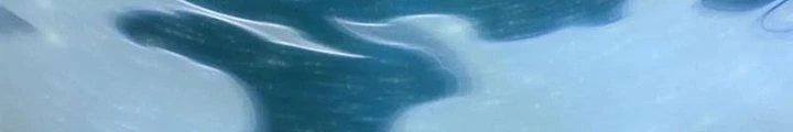 Ta Có Thể Rút Ra Thuộc Tính Chapter 83 - Trang 3