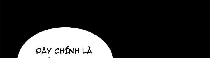 Ta Có Thể Rút Ra Thuộc Tính Chapter 83 - Trang 3
