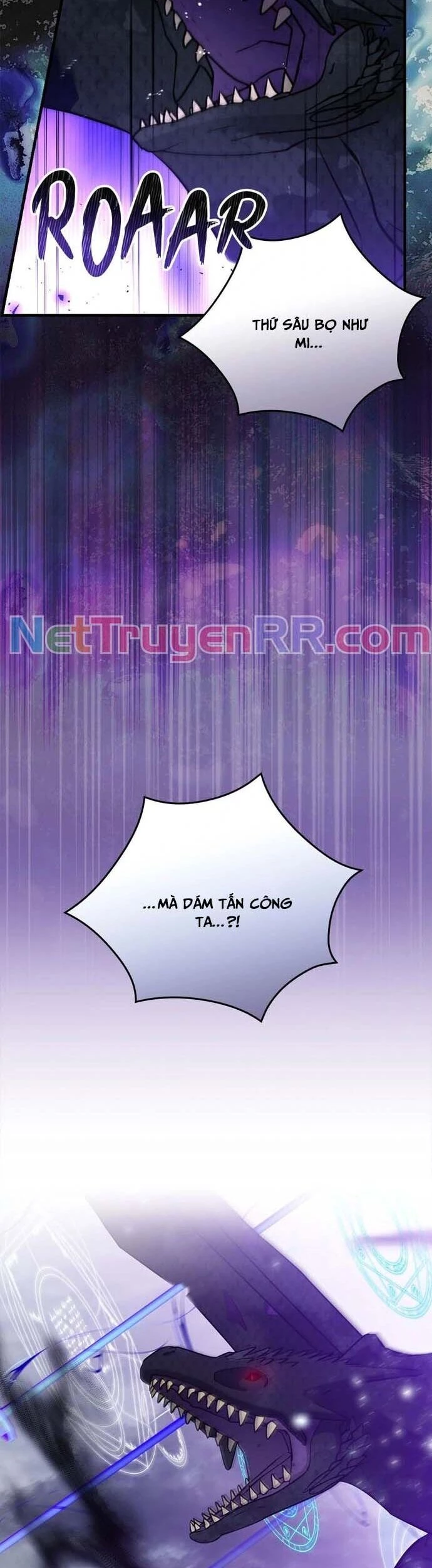 Level Up Chỉ Bằng Cách Ăn Cơm Chapter 192 - Trang 4