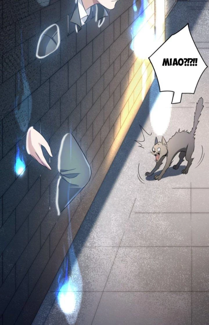 Tai Ách Thu Dung Sở Chapter 4 - Next Chapter 5