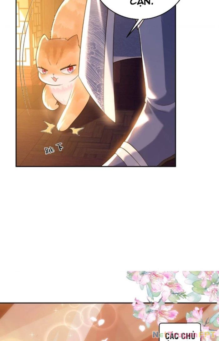 Thần Cấp Khế Ước: Bắt Đầu Từ Một Con Mèo Chapter 8 - Trang 2