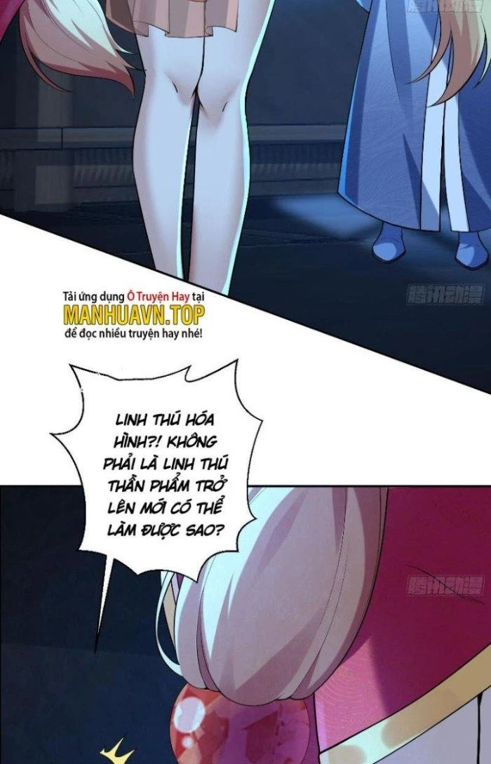 Thần Cấp Khế Ước: Bắt Đầu Từ Một Con Mèo Chapter 10 - Trang 2