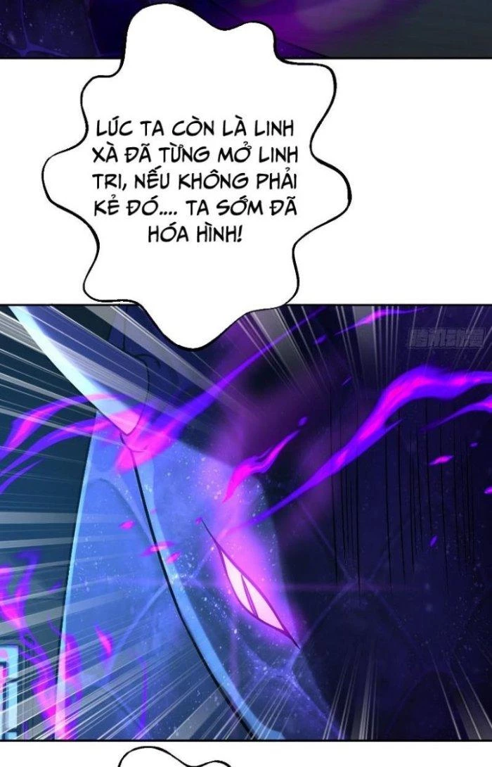 Thần Cấp Khế Ước: Bắt Đầu Từ Một Con Mèo Chapter 11 - Trang 2