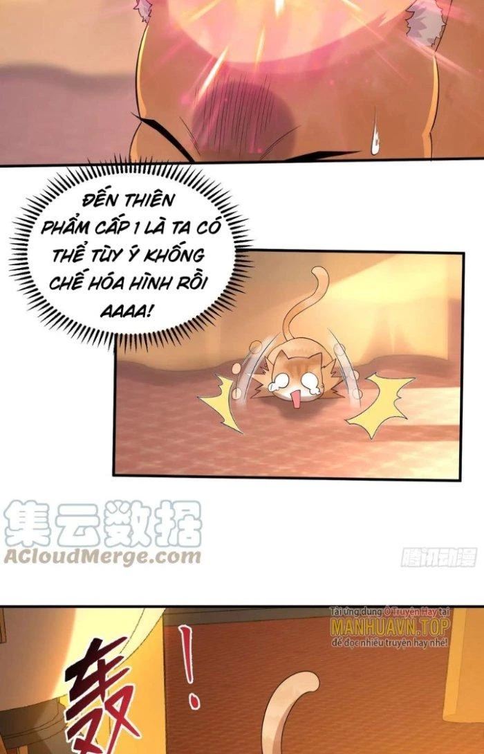 Thần Cấp Khế Ước: Bắt Đầu Từ Một Con Mèo Chapter 16 - Trang 2