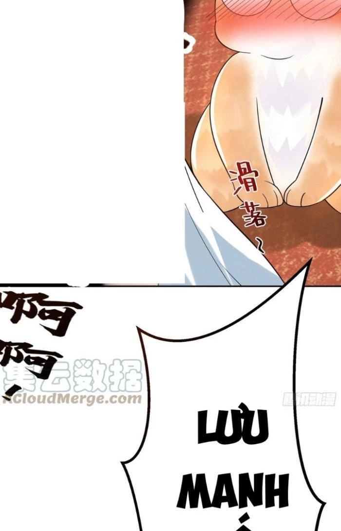 Thần Cấp Khế Ước: Bắt Đầu Từ Một Con Mèo Chapter 16 - Trang 2