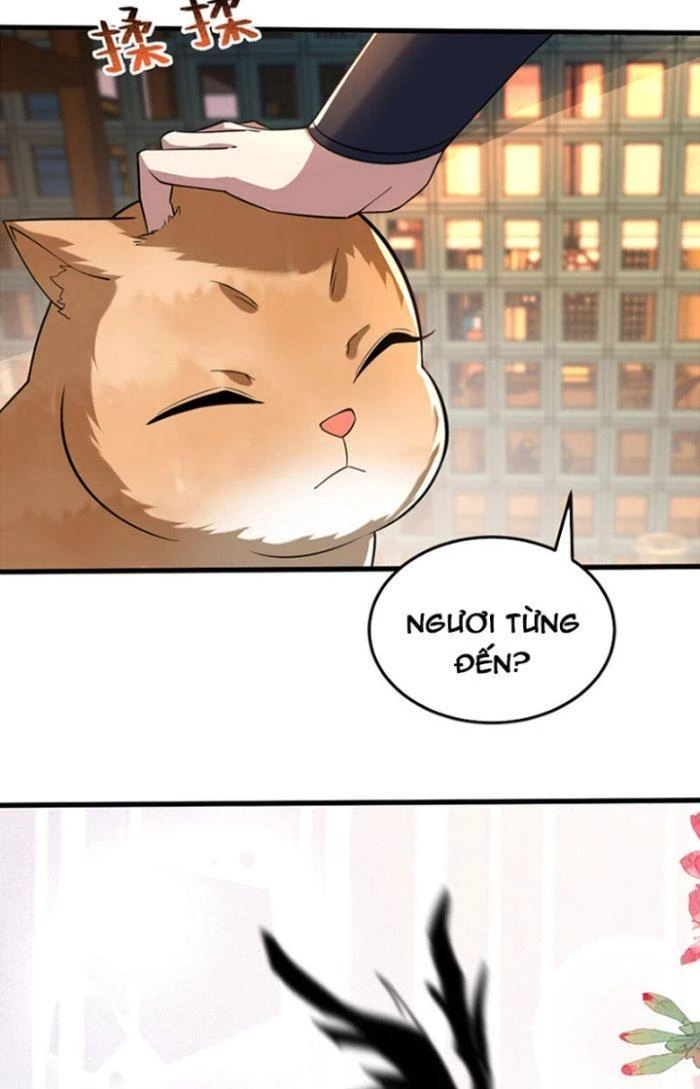 Thần Cấp Khế Ước: Bắt Đầu Từ Một Con Mèo Chapter 18 - Trang 2
