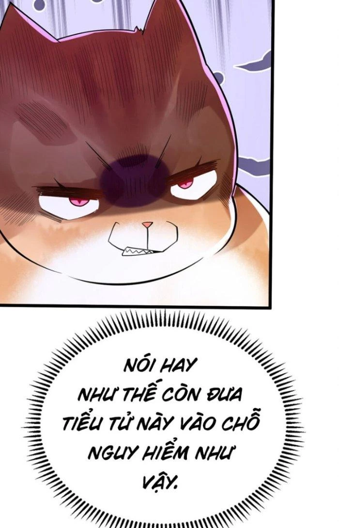 Thần Cấp Khế Ước: Bắt Đầu Từ Một Con Mèo Chapter 18 - Trang 2