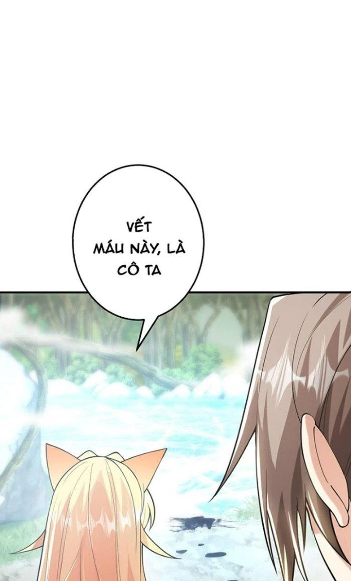 Thần Cấp Khế Ước: Bắt Đầu Từ Một Con Mèo Chapter 19 - Trang 2