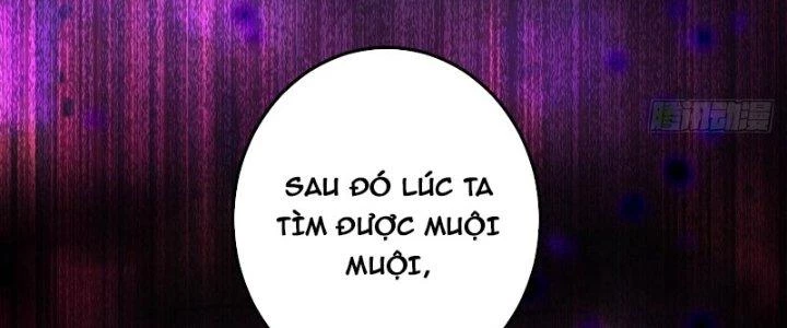 Thần Cấp Khế Ước: Bắt Đầu Từ Một Con Mèo Chapter 28 - Trang 2