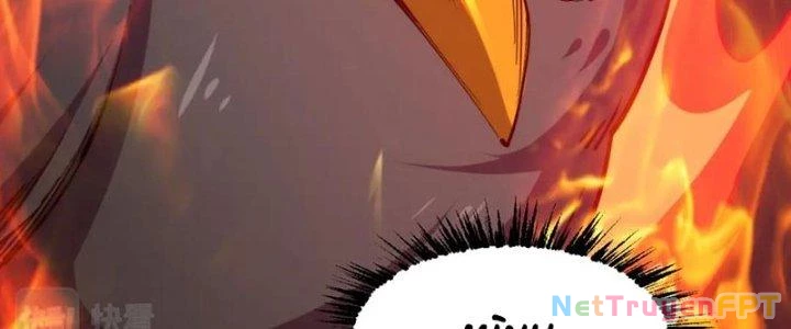 Toàn Thuộc Tính Võ Đạo Chapter 67 - Trang 4