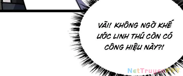 Toàn Thuộc Tính Võ Đạo Chapter 67 - Trang 4